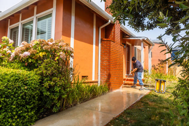 Best Roof Pressure Washing  in Neillsville, WI
